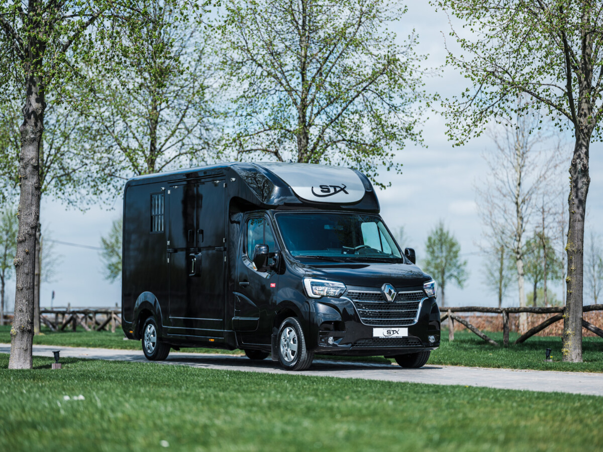 Pferdetransporter STX Seitenansicht im Grünen