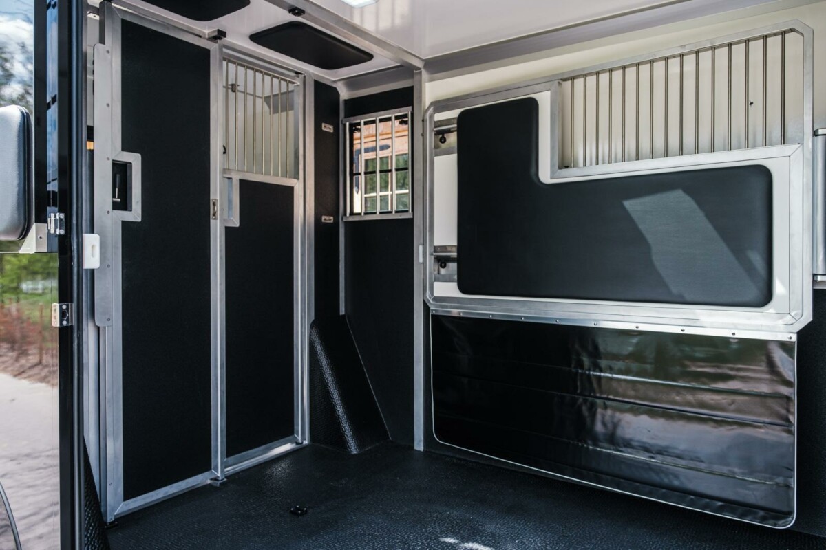 Gepolsterte Pferdeboxen im STX Pferdetransporter mit Trennwand